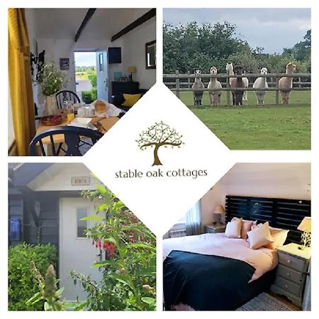Birch Cottage With Private Wood Fire Hot Tub Harrietsham Εξωτερικό φωτογραφία