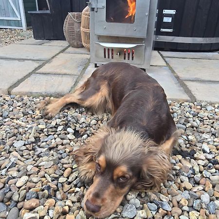Birch Cottage With Private Wood Fire Hot Tub Harrietsham Εξωτερικό φωτογραφία