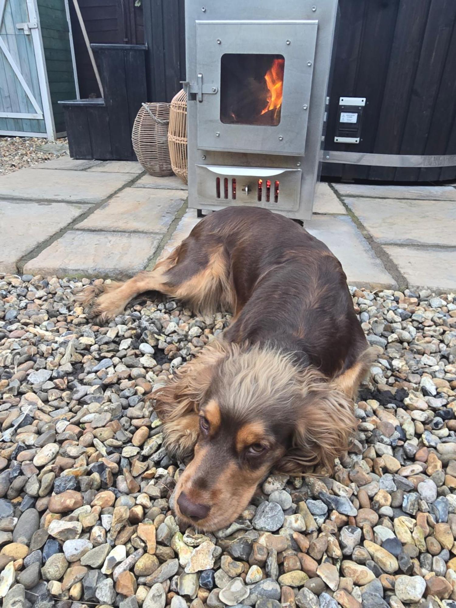 Birch Cottage With Private Wood Fire Hot Tub Harrietsham Εξωτερικό φωτογραφία